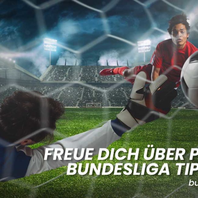 Bundesliga Tipphilfe.de - Wetttipps für Fussballfans
